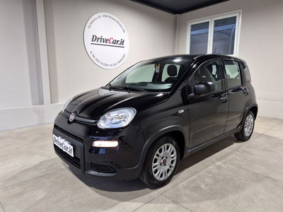Fiat Panda 1.0 FireFly S&S Hybrid usata