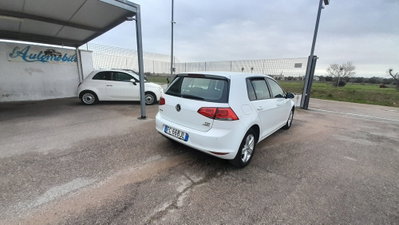 Volkswagen Golf 1.6 TDI 90 CV 5p. Trendline BlueMotion Technology (19)