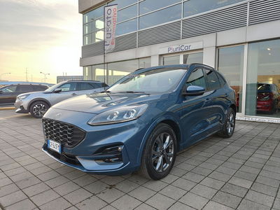 Ford Kuga 1.5 EcoBlue 120 CV 2WD ST-Line usata