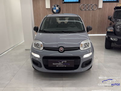 Fiat Panda 1.2 Easy usata