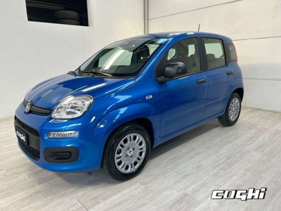 Fiat Panda 1.0 firefly hybrid Icon s&s 70cv (2)