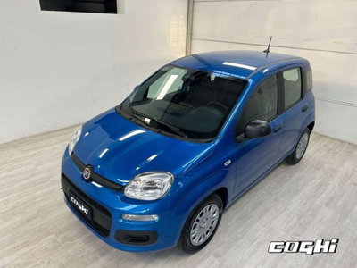 Fiat Panda 1.0 firefly hybrid Icon s&s 70cv (3)
