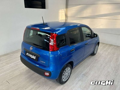 Fiat Panda 1.0 firefly hybrid Icon s&s 70cv (4)