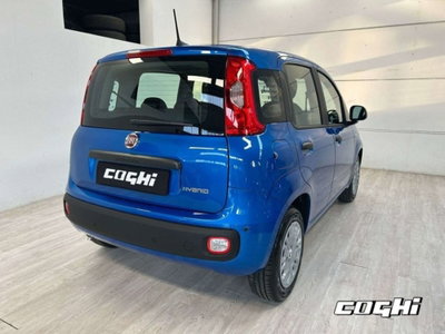 Fiat Panda 1.0 firefly hybrid Icon s&s 70cv (5)