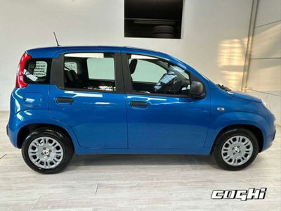 Fiat Panda 1.0 firefly hybrid Icon s&s 70cv (7)