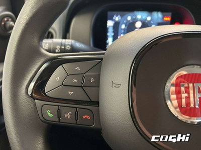 Fiat Panda 1.0 firefly hybrid Icon s&s 70cv (9)