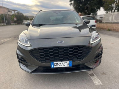 Ford Kuga 2.0 EcoBlue 120 CV aut. 2WD ST-Line X (2)