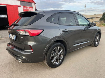 Ford Kuga 2.0 EcoBlue 120 CV aut. 2WD ST-Line X (7)