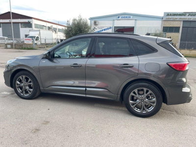 Ford Kuga 2.0 EcoBlue 120 CV aut. 2WD ST-Line X (4)