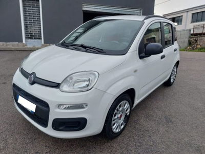 Fiat Panda 1.2 Easy usata