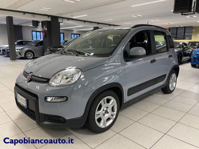 Fiat Panda 1.0 firefly hybrid s&s 70cv 5p.ti usata