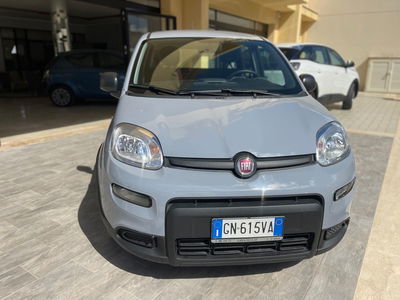 Fiat Panda 1.0 FireFly S&S Hybrid City Life usata