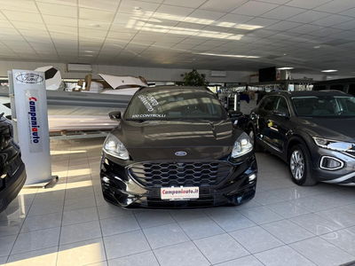 Ford Kuga 1.5 EcoBlue 120 CV aut. 2WD ST-Line X usata