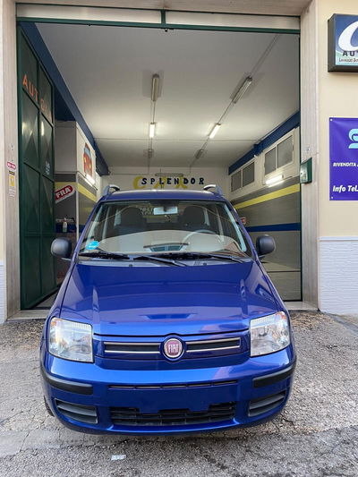 Fiat Panda 1.2 Dynamic usata