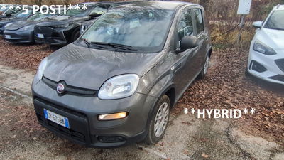 Fiat Panda 1.0 FireFly S&S Hybrid usata