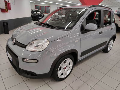 Fiat Panda 1.0 FireFly S&S Hybrid City Cross usata