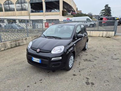 Fiat Pandina 1.0 firefly hybrid Icon s&s 65cv nuova