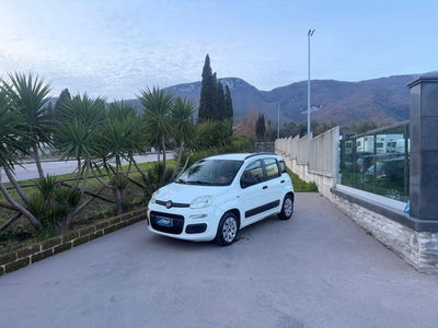 Fiat Panda 1.2 EasyPower Lounge usata