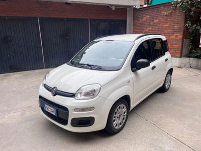 Fiat Panda 1.2 Easy usata