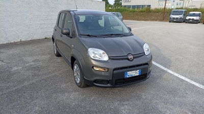 Fiat Panda 1.0 firefly hybrid s&s 70cv 5p.ti nuova