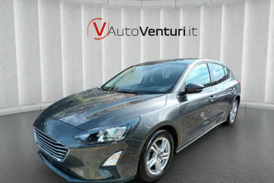 Ford Focus 1.5 EcoBlue 120 CV 5p. Business usata
