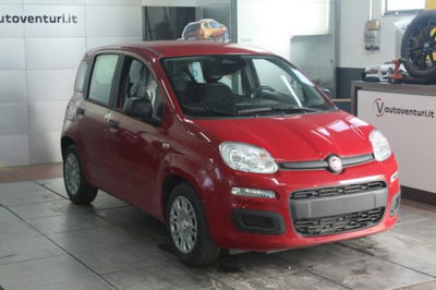 Fiat Panda 1.0 firefly hybrid s&s 70cv 5p.ti nuova