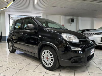Fiat Panda 1.0 firefly hybrid s&s 70cv 5p.ti usata