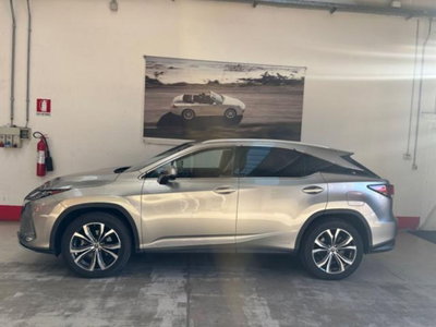 Lexus RX Hybrid Executive usata