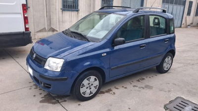 Fiat Panda 1.1 Active usata