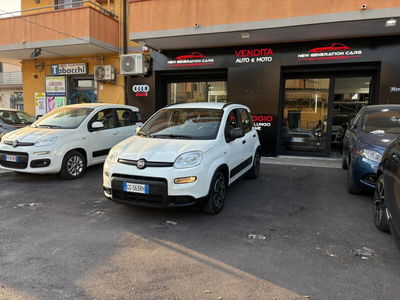 Fiat Panda 1.0 FireFly S&S Hybrid City Life usata