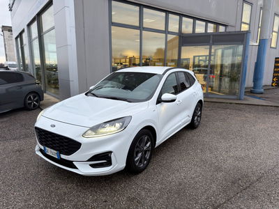 Ford Kuga 1.5 EcoBlue 120 CV 2WD ST-Line usata