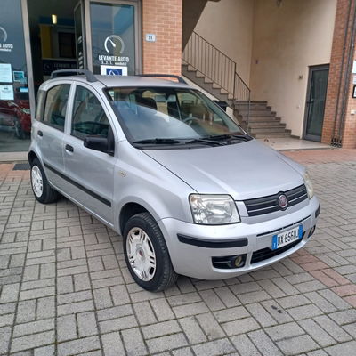 Fiat Panda 1.2 Dynamic usata