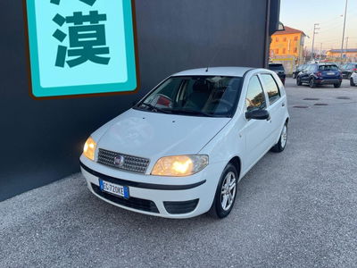 Fiat Punto Classic 1.2 5 porte Natural Power Active usata