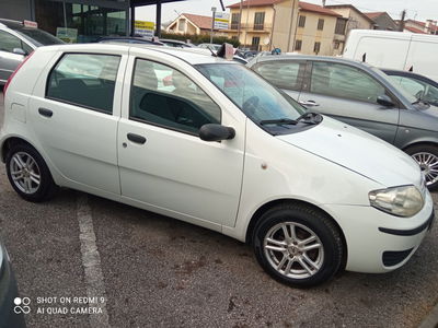 Fiat Punto Classic 1.2 5 porte Natural Power Active usata