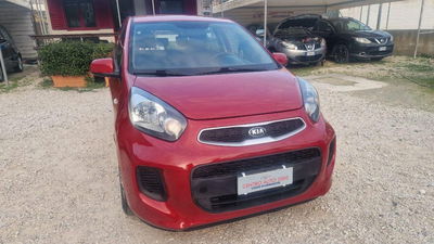 Kia Picanto 1.0 12V EcoGPL 5 porte Cool usata
