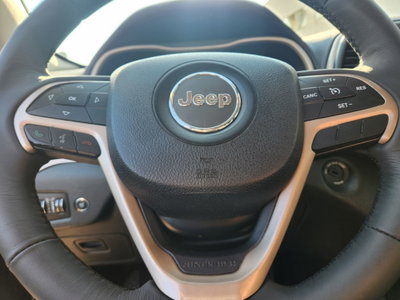 Jeep Cherokee 2.0 Mjt II Limited (12)