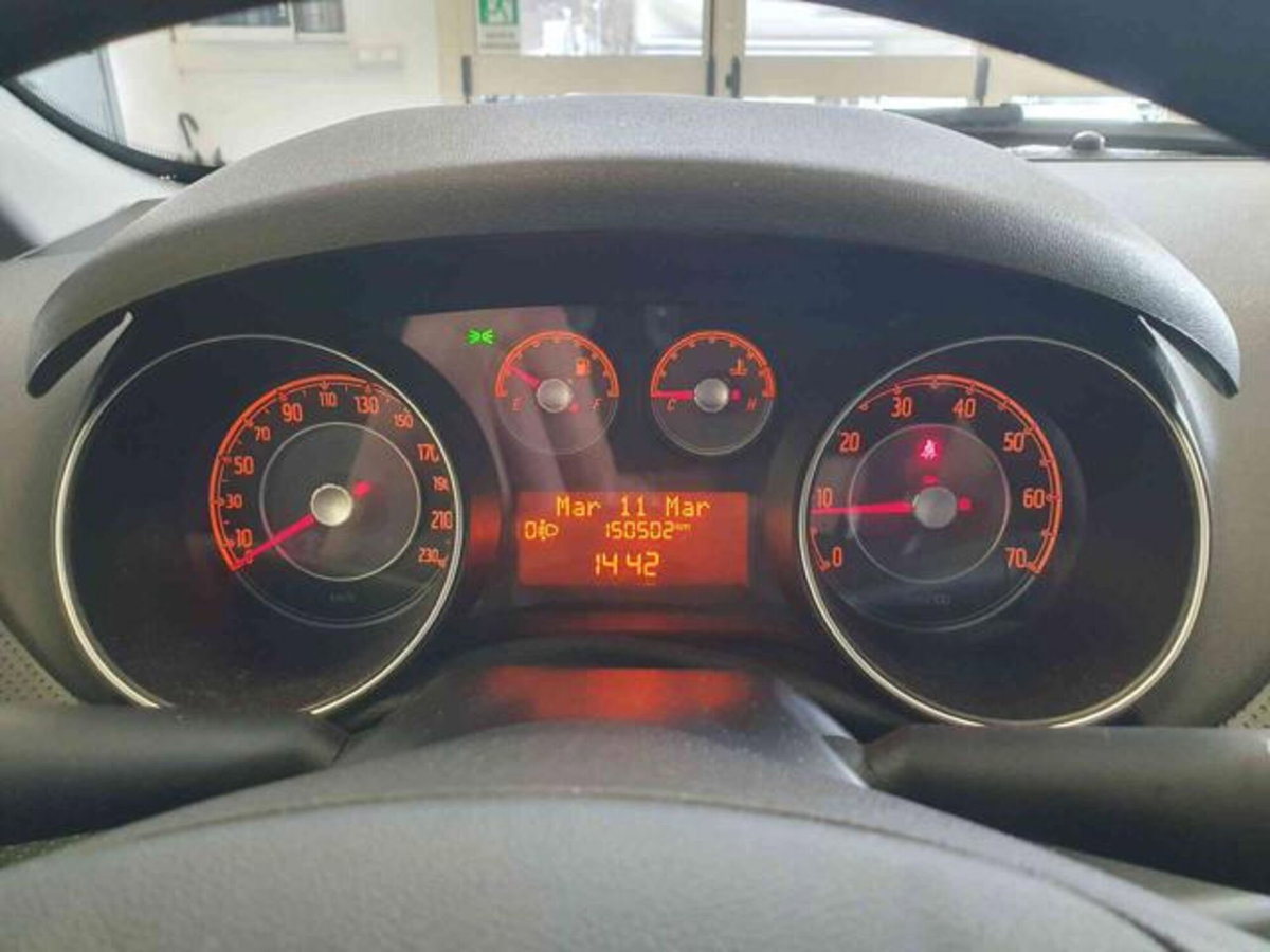 Fiat Punto Evo 1.3 Mjt 75 CV 5 porte Active (15)