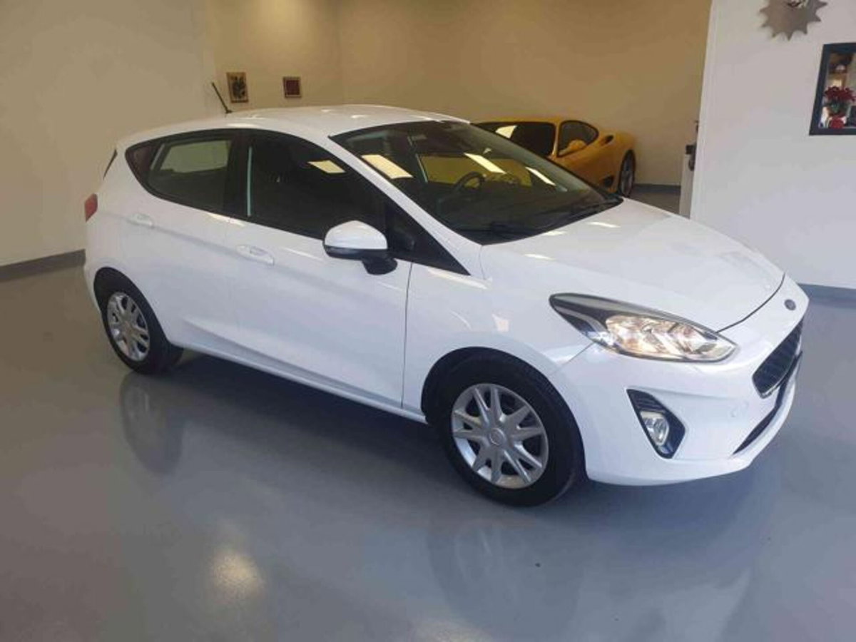 Ford Fiesta 1.5 EcoBlue 5 porte Business High (2)