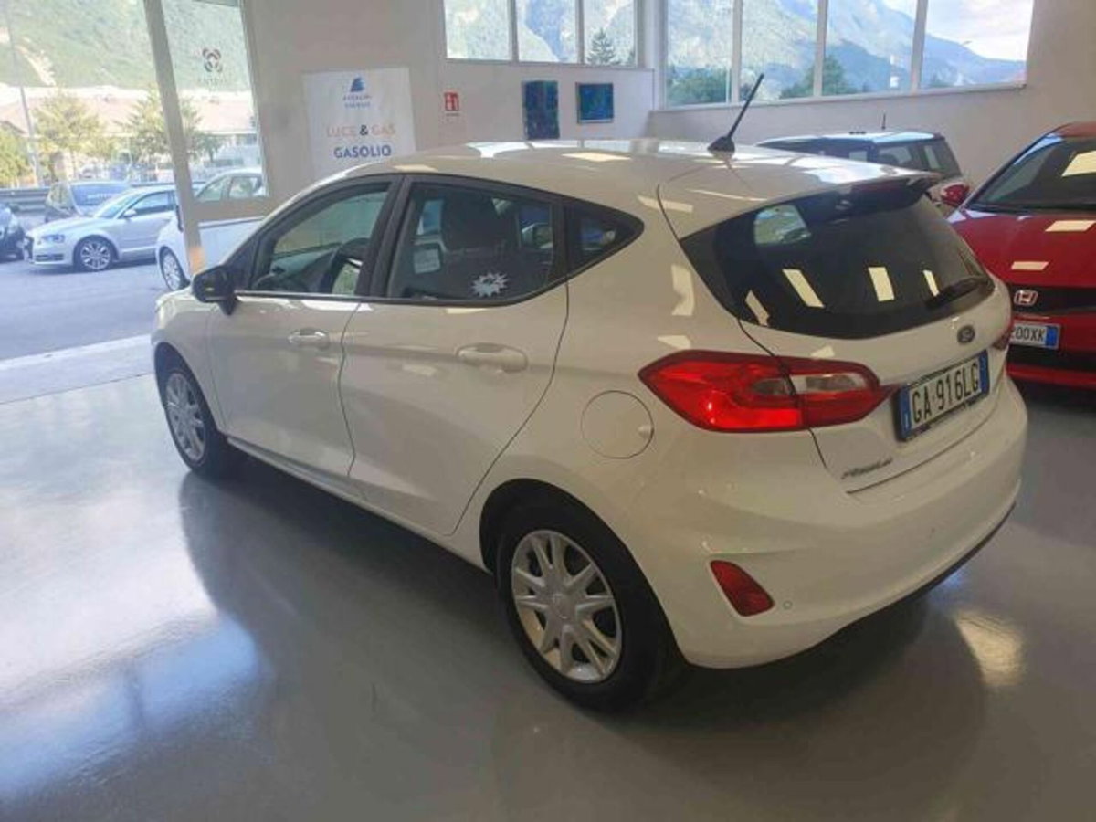 Ford Fiesta 1.5 EcoBlue 5 porte Business High (4)