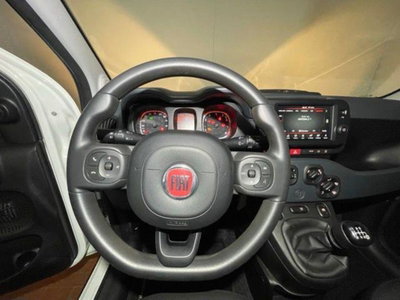 Fiat Panda Cross 1.0 firefly hybrid Cross s&s 70cv 5p.ti (10)