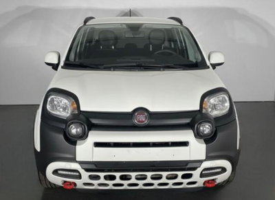 Fiat Panda Cross 1.0 firefly hybrid Cross s&s 70cv 5p.ti (2)