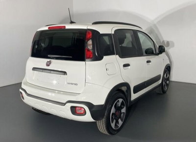 Fiat Panda Cross 1.0 firefly hybrid Cross s&s 70cv 5p.ti (6)