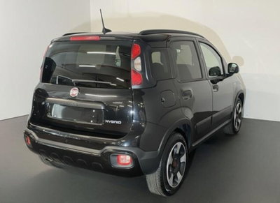 Fiat Panda Cross 1.0 firefly hybrid Cross s&s 70cv 5p.ti (6)
