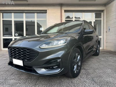 Ford Kuga 2.0 EcoBlue 120 CV aut. 2WD ST-Line X usata