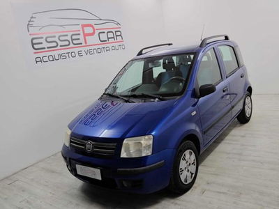 Fiat Panda 1.2 Dynamic usata