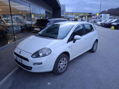 Fiat Punto 1.4 S&S 8V 5 porte Lounge usata