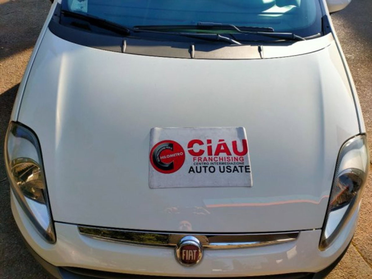 Fiat Punto Evo 1.2 5 porte S&S Dynamic (20)