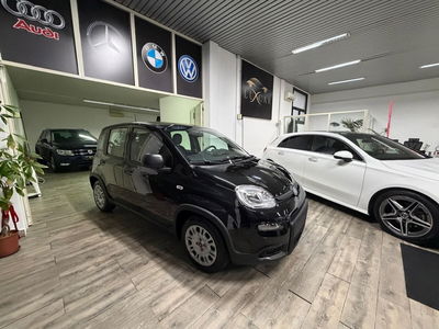 Fiat Panda 1.0 FireFly S&S Hybrid usata