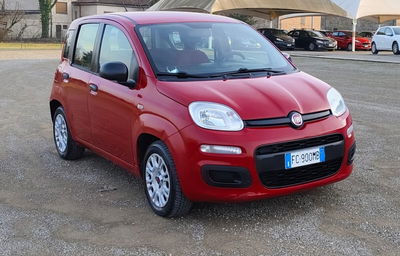 Fiat Panda 1.2 EasyPower Lounge usata