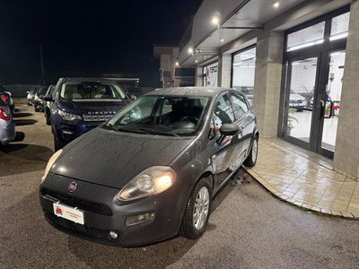 Fiat Punto 1.3 MJT II 75 CV 5 porte Lounge usata